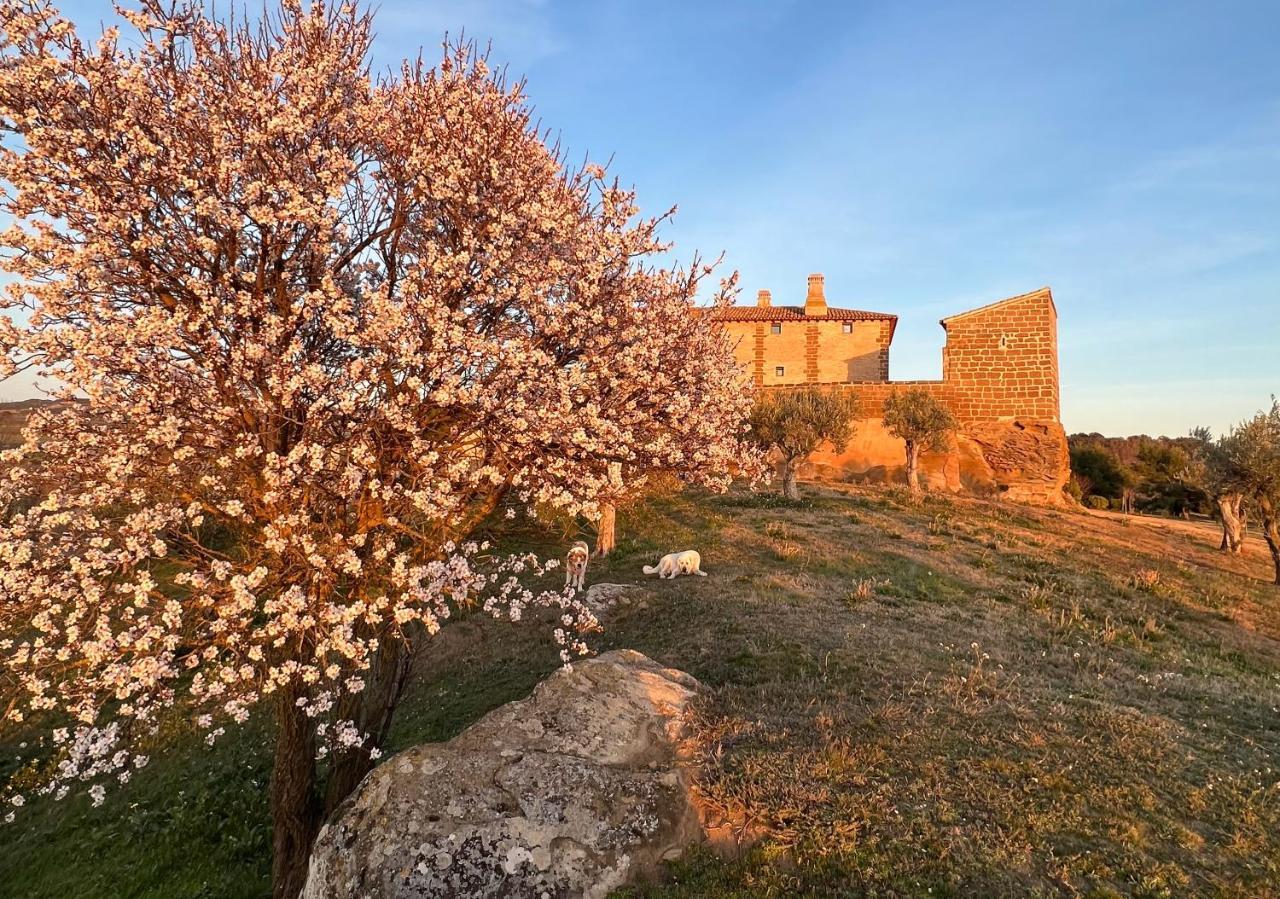 Castillo De Corvinos Huesca Dış mekan fotoğraf